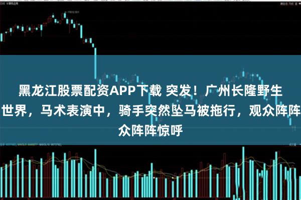 黑龙江股票配资APP下载 突发!广州长隆野生动物世界,马术表演中,骑手突然坠马被拖行,观众阵阵惊呼